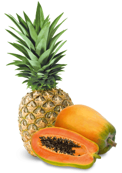 Tropical | Natures Finest Foods