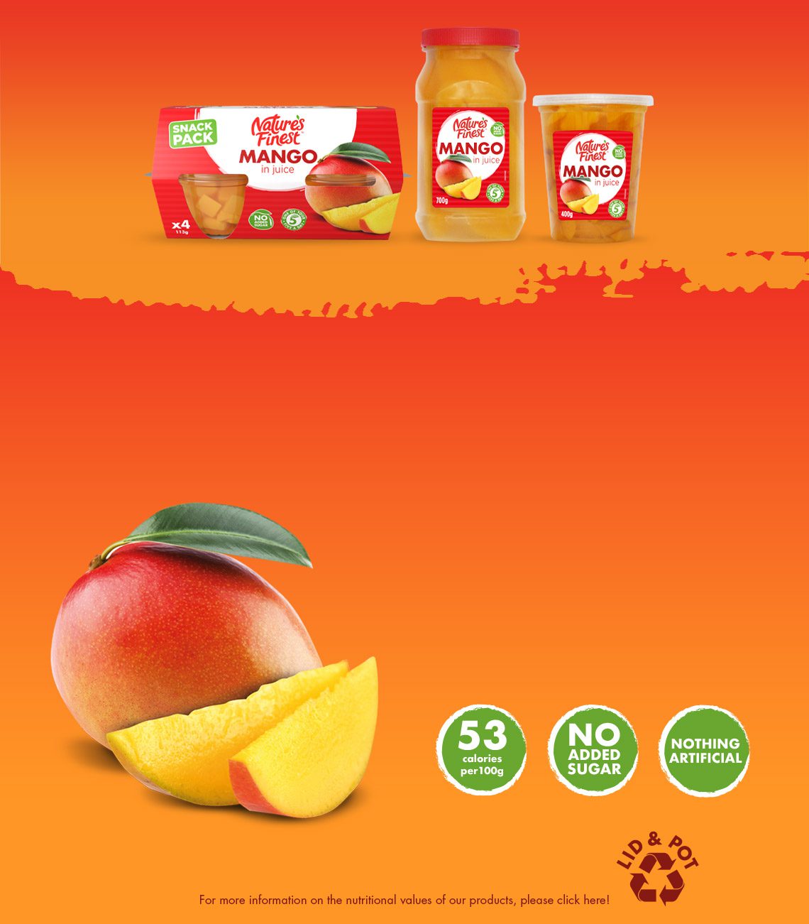 Mango Products