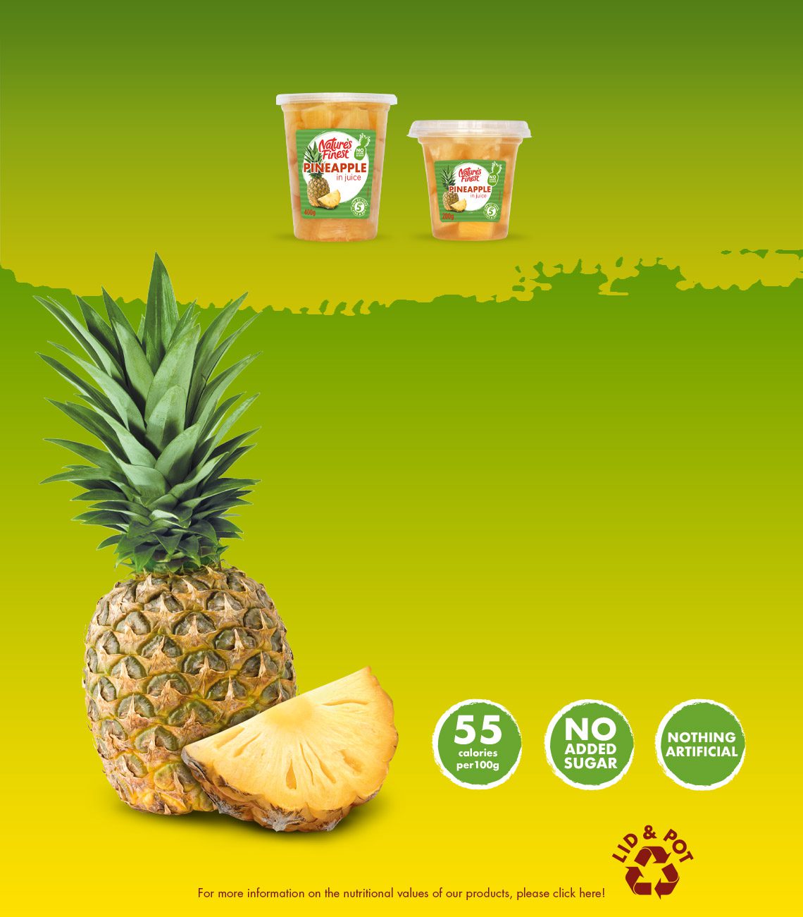 Pineapple Products