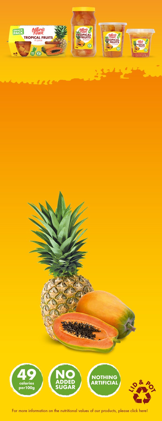Tropical Fruits Products