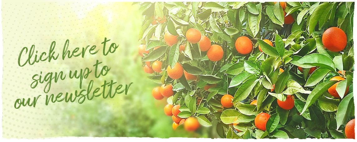 Natures Finest Fruit - Newsletter