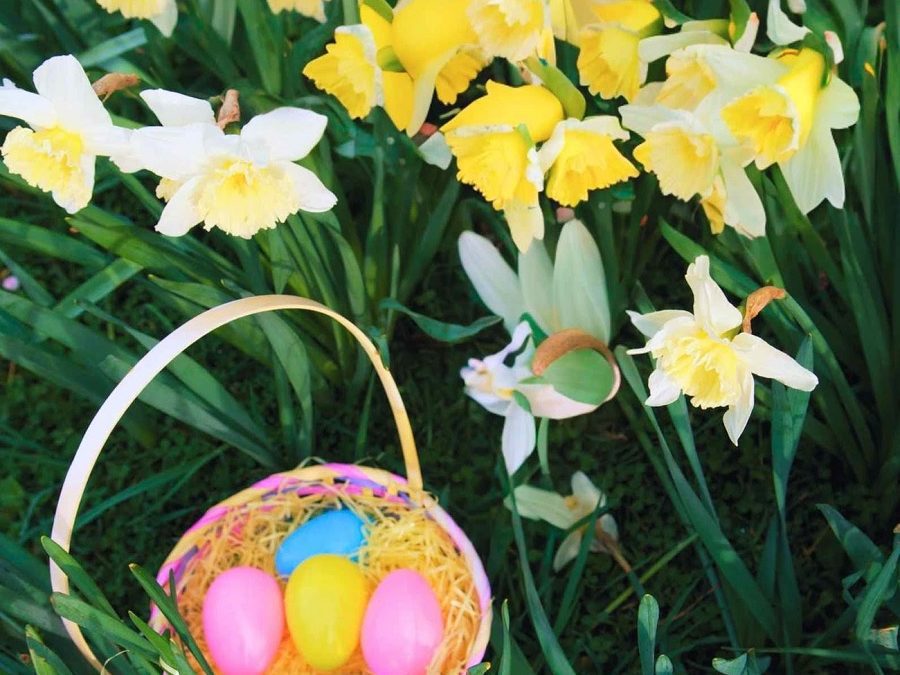 April Egg-citement!
