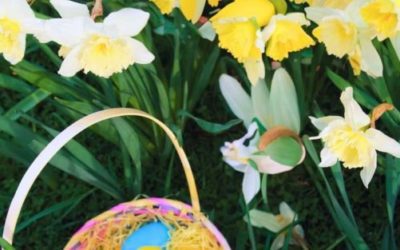 April Egg-citement!
