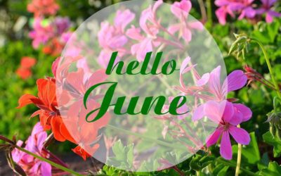 Summer Is On Its Way