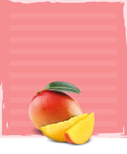 Mango in Juice Nature's Finest Foods