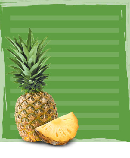 Pineapple in Juice Natures Finest Foods
