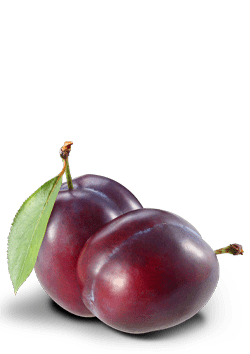 Prune | Natures Finest Foods