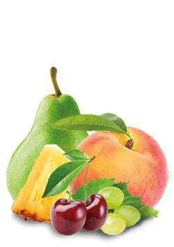Fruit Cocktail | Natures Finest Foods