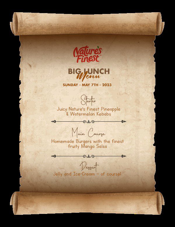 Big lunch menu Smoothie Recipes