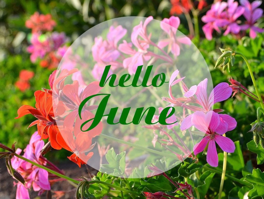 Hello June - Summer time